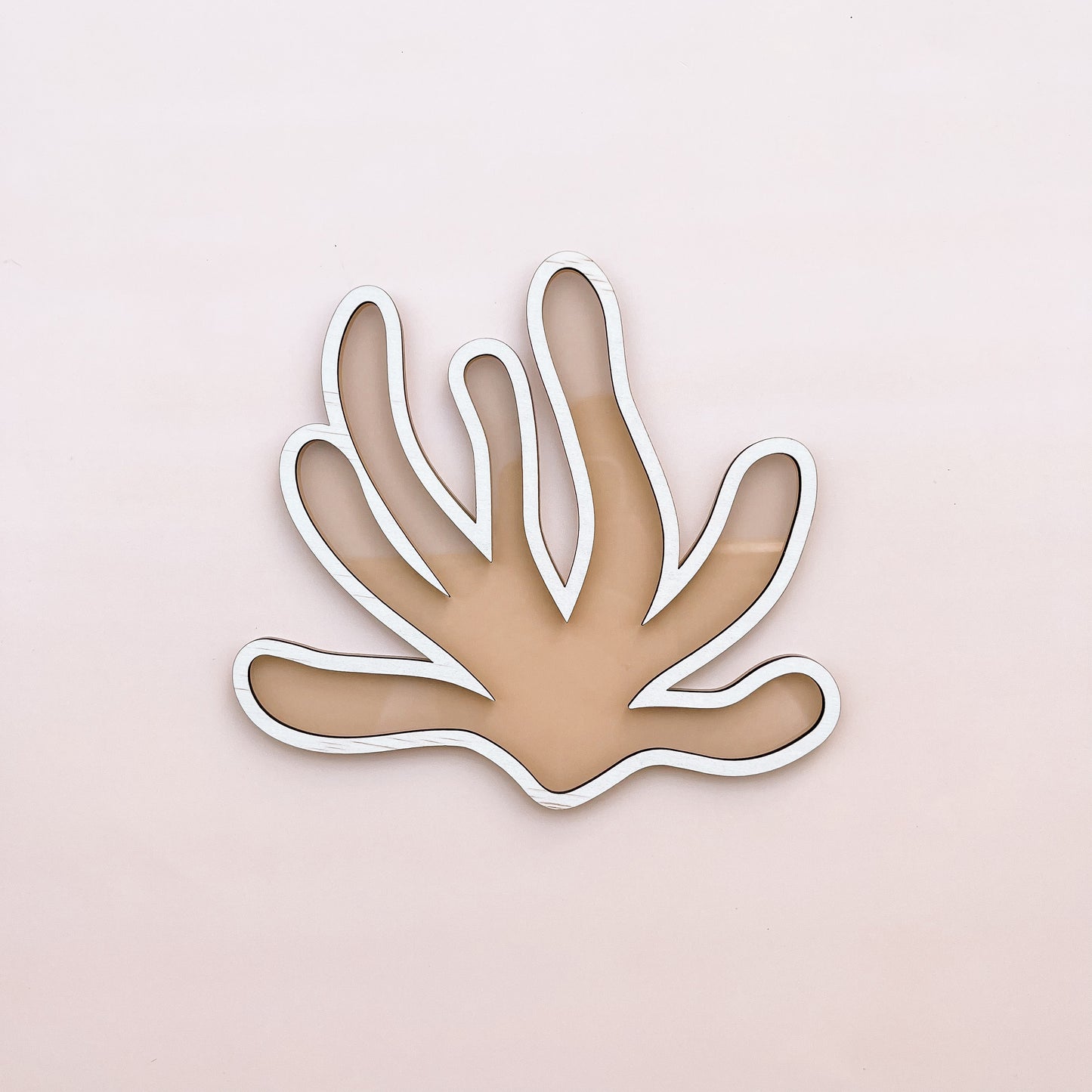 CORAL | Wall Shape | Multiple Colour Options