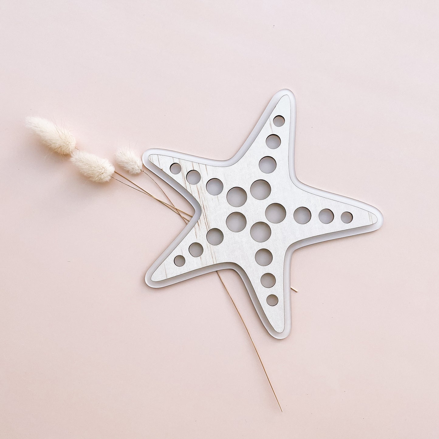 STARFISH | Wall Shape | Multiple Colour Options