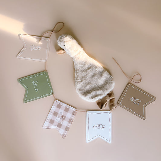 ACRYLIC BUNTING - Silly Goose | Multiple Colourway Options