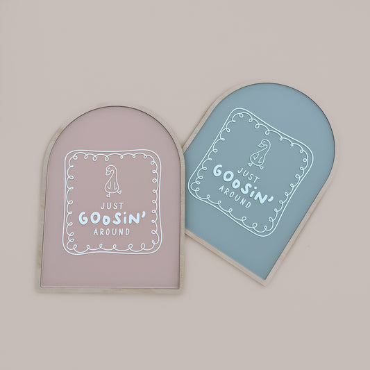 ACRYLIC PRINT - Just Goosin' Around | Multiple Colour Options