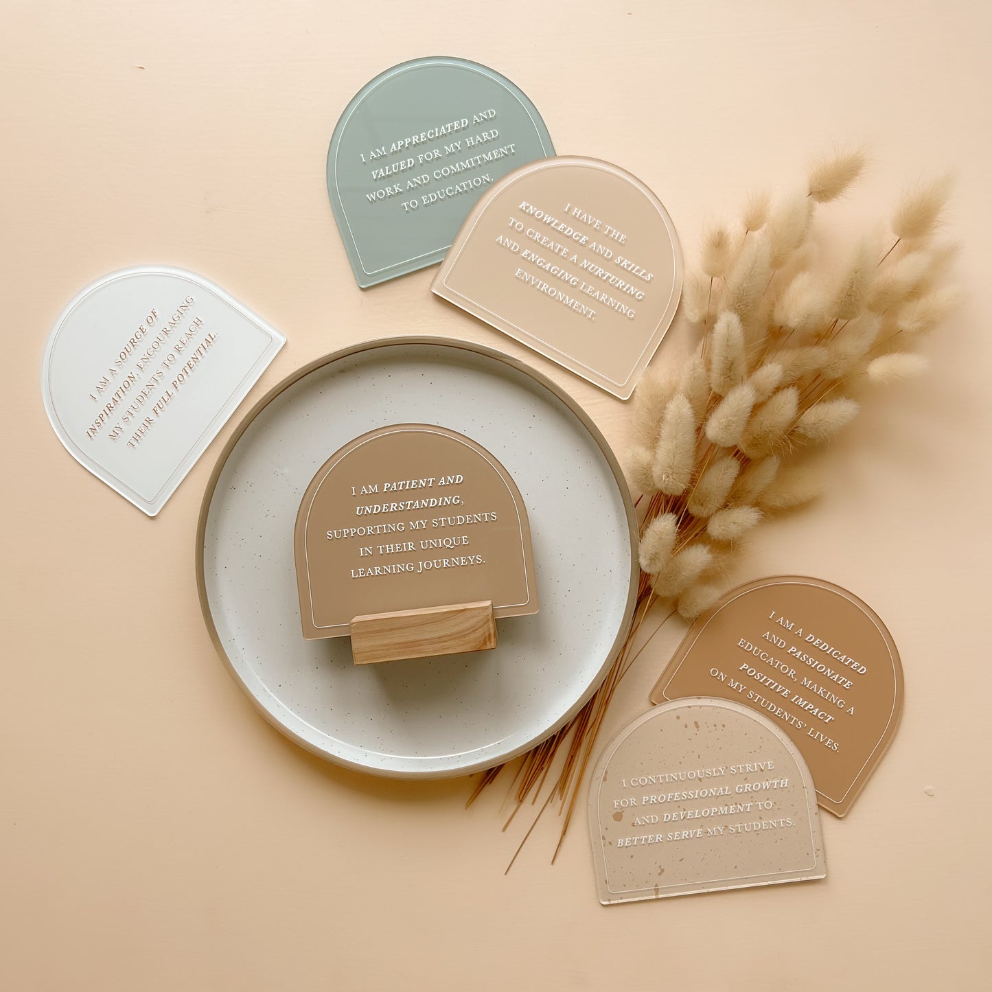 EDUCATOR/TEACHER AFFIRMATIONS SET | Multiple Colour Options