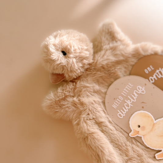 Duck themed baby milestone cards with neutral newborn photo prop styling
