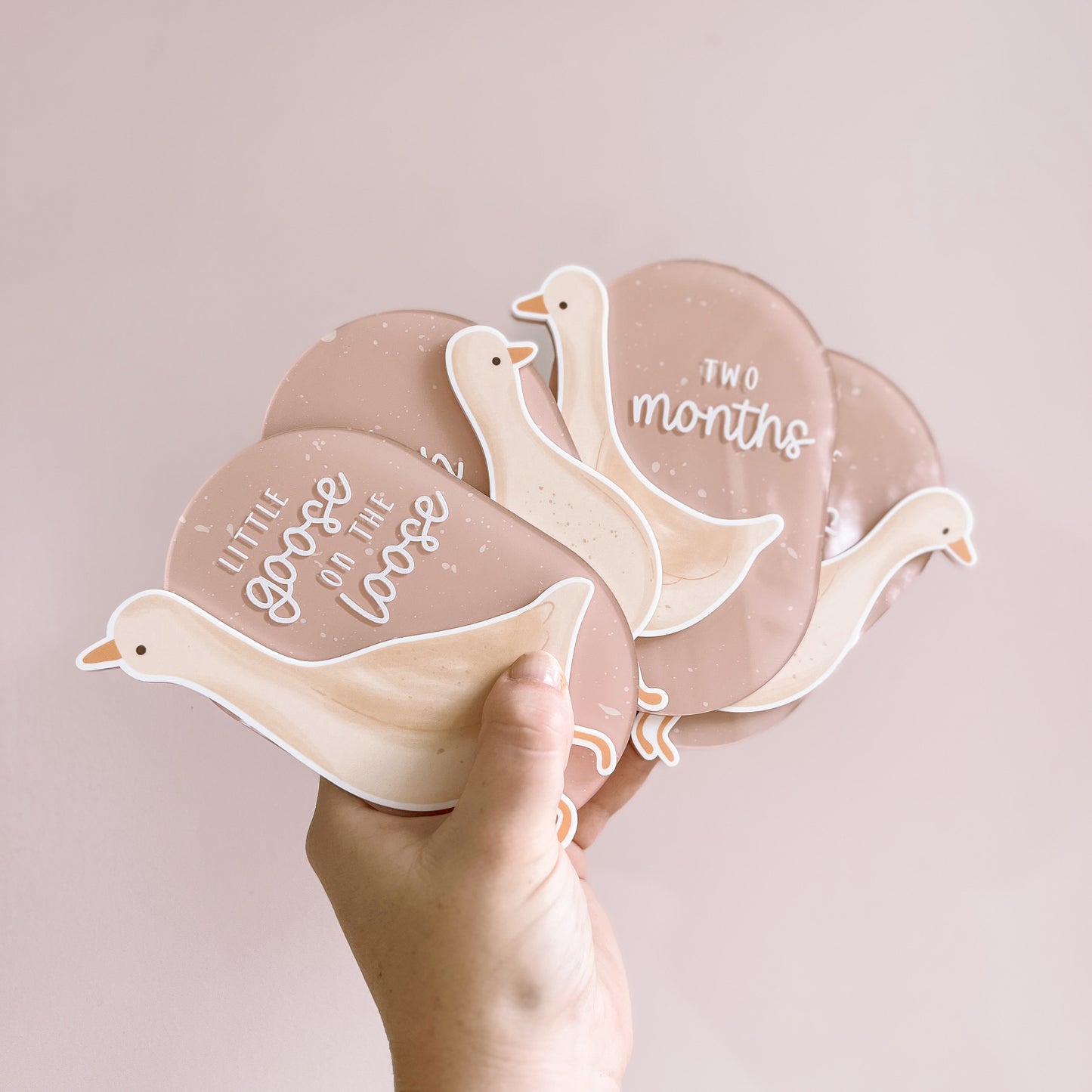 GOOSE Baby Milestone Plaque Set | Multiple Colour + Pattern Options
