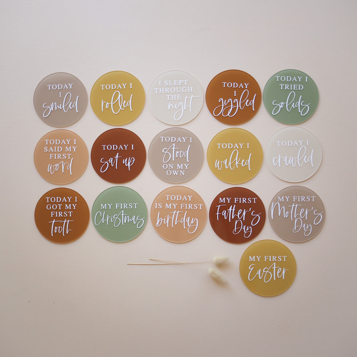 DEVELOPMENTAL Milestone Disc Set | Multiple Colourway Choices