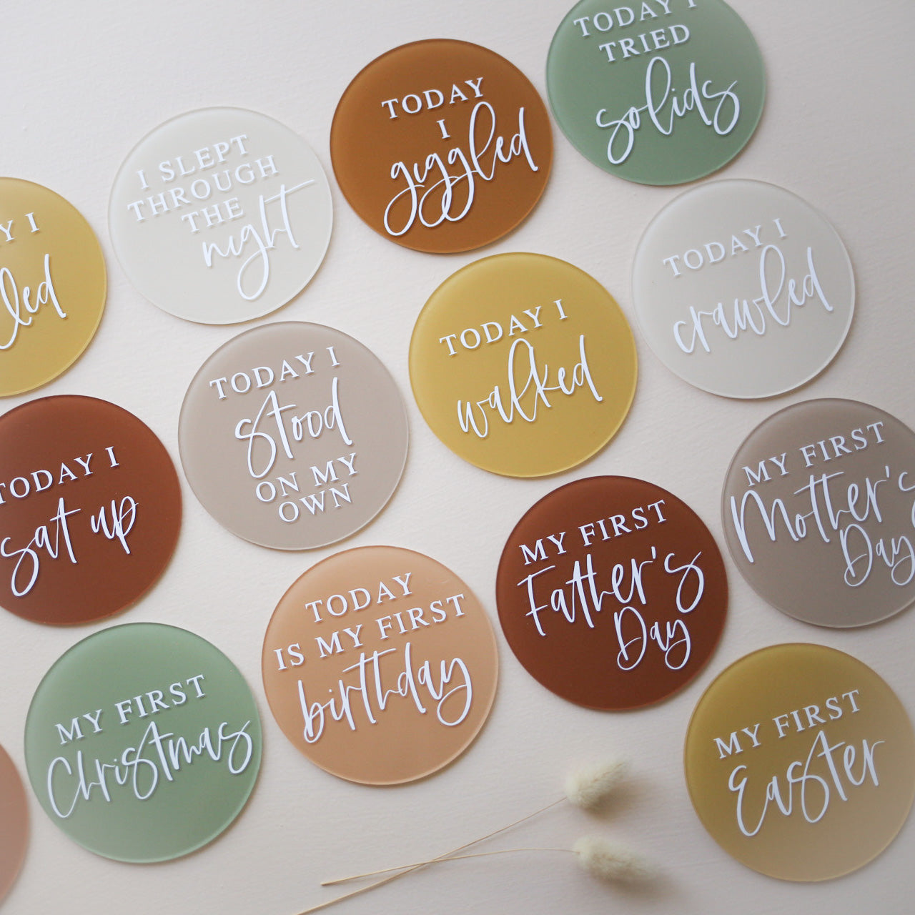 DEVELOPMENTAL Milestone Disc Set | Multiple Colourway Choices