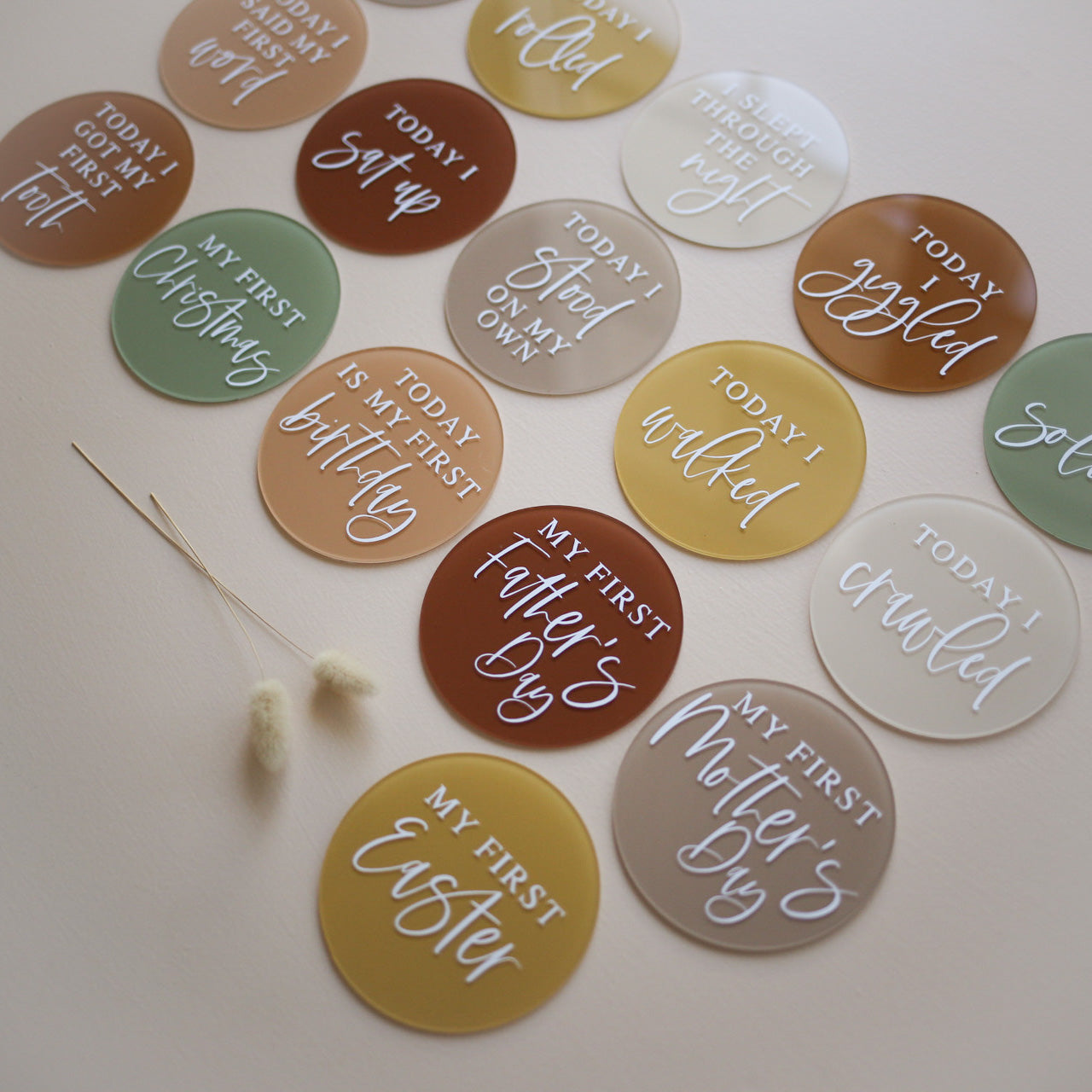 DEVELOPMENTAL Milestone Disc Set | Multiple Colourway Choices