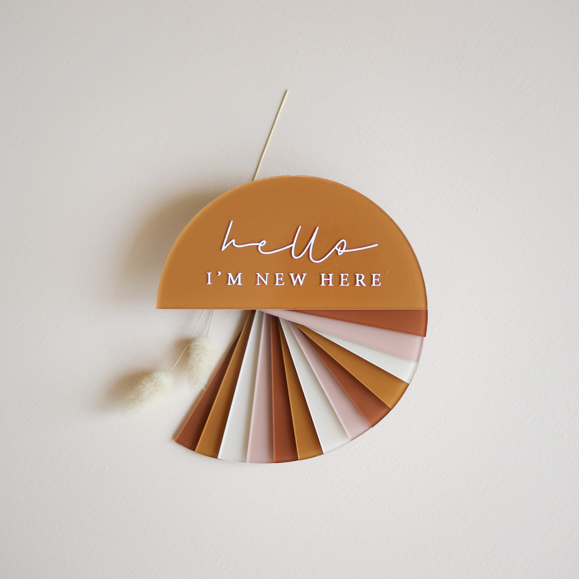 SEMI-CIRCLE Milestone Disc Set | Multiple Colourway Choices