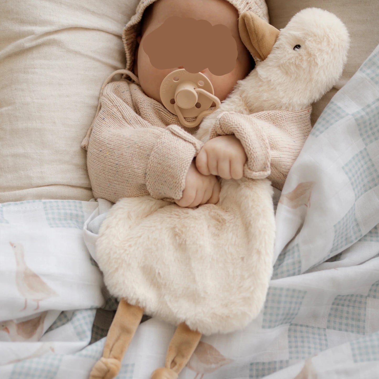 Baby in a cozy setting with a plush toy and pacifier
