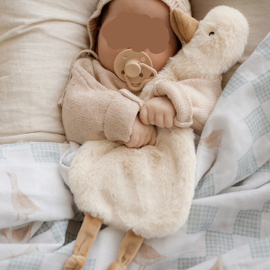 Baby in a cozy setting with a plush toy and pacifier