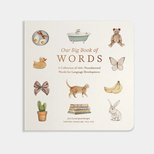 Our Big Book of First Words | Tabitha Paige