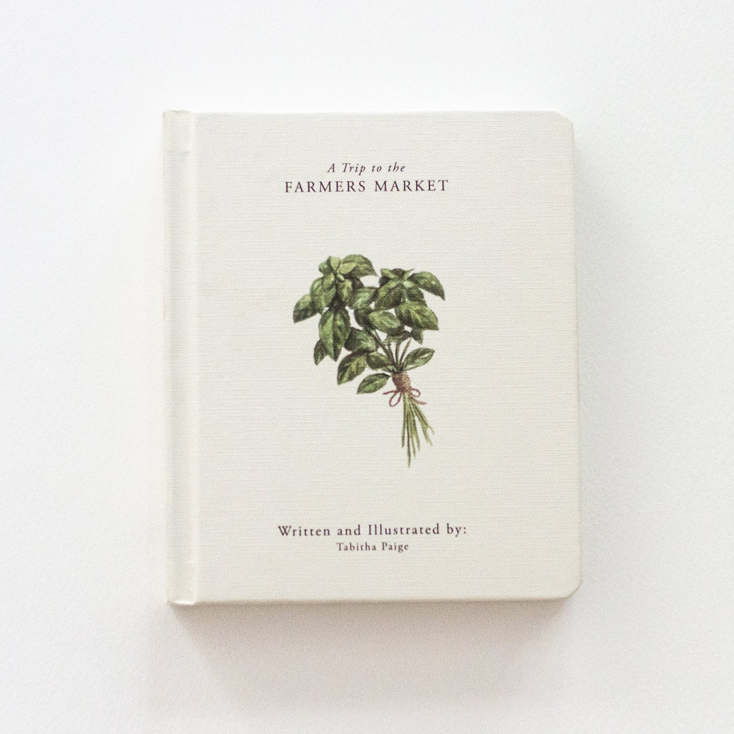 Our Little Adventures Board Book Set | Tabitha Paige
