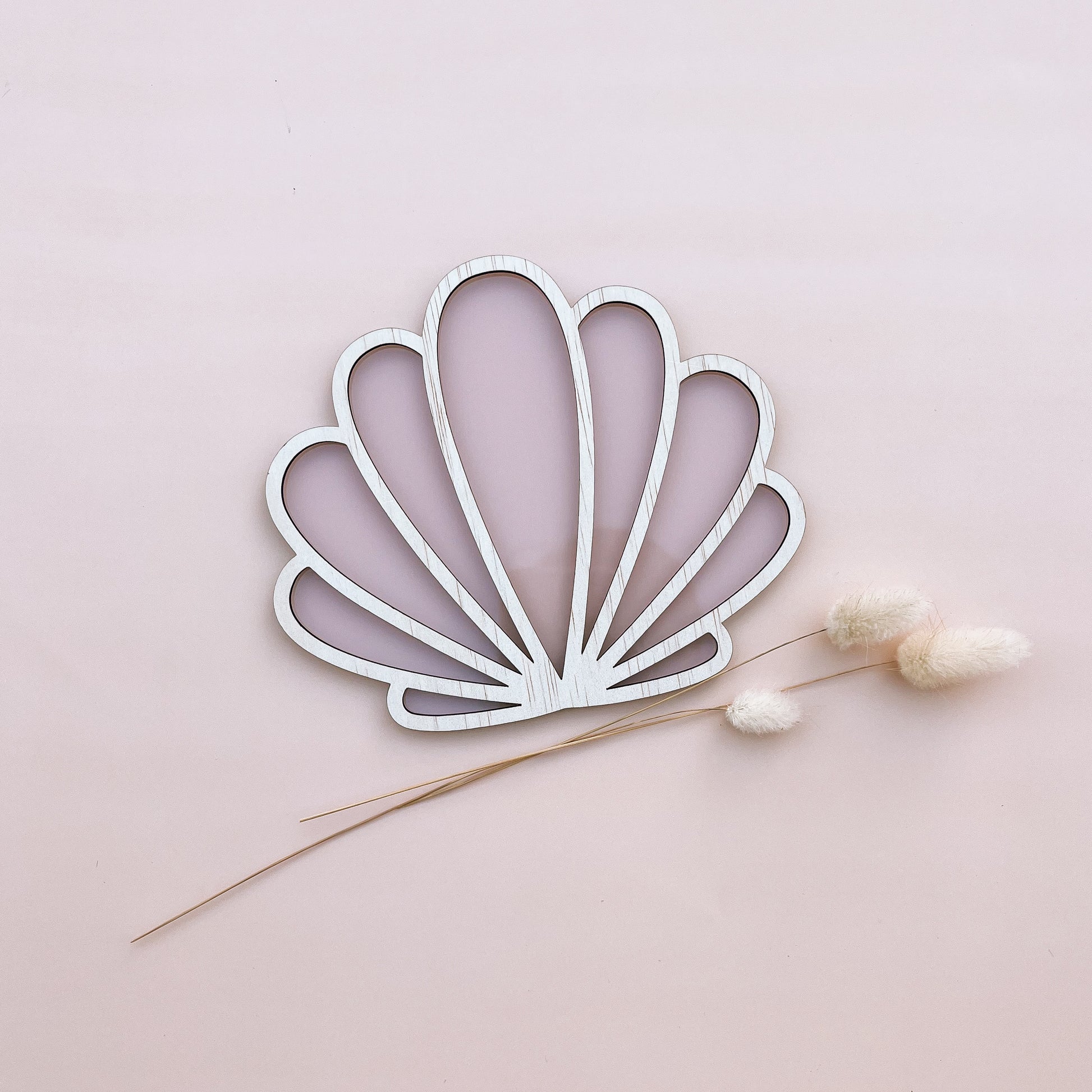 CLAM SHELL | Wall Shape | Multiple Colour Options – Salt & Pine Store
