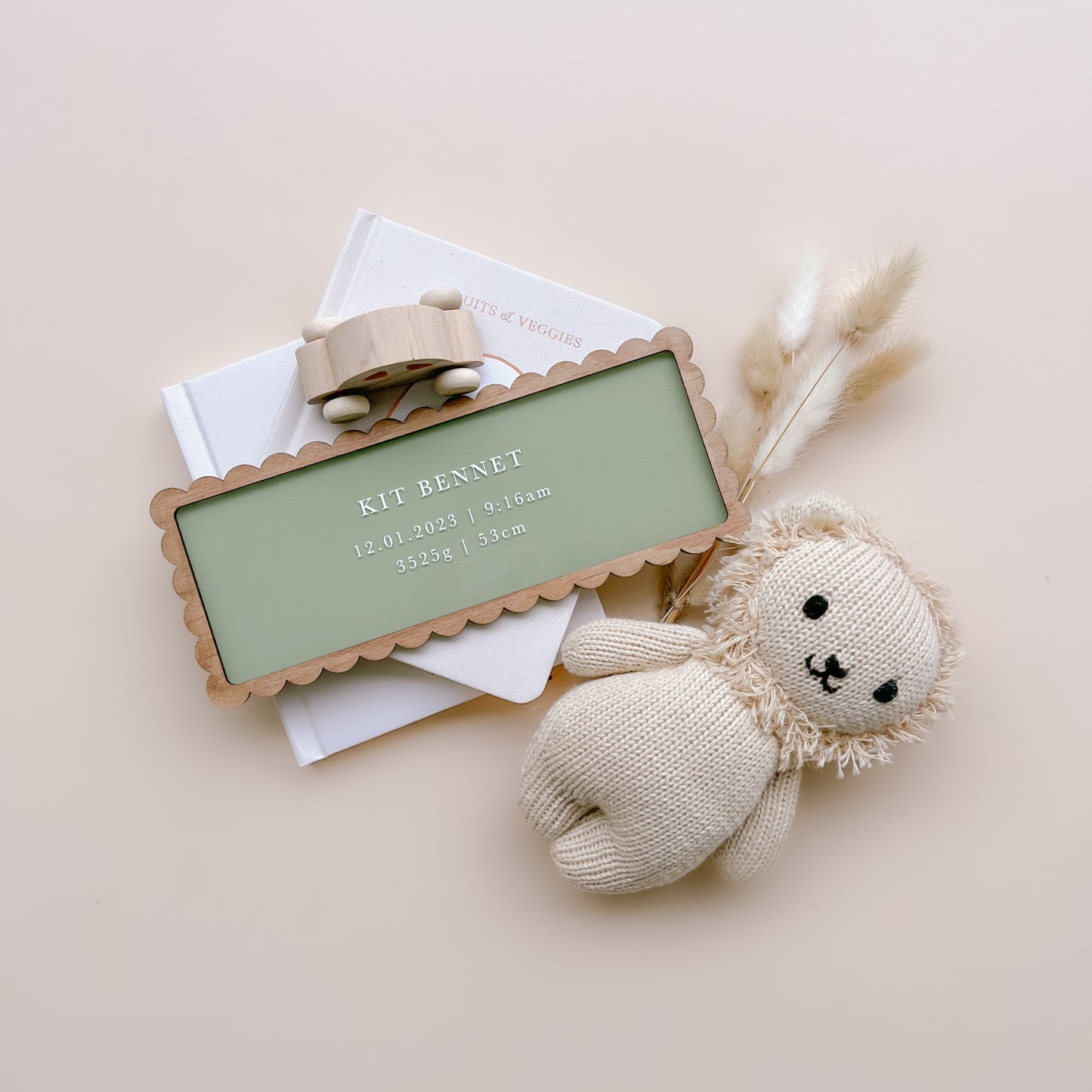 Vintage-Style Baby Birth Details Sign | Multiple Customisation Options