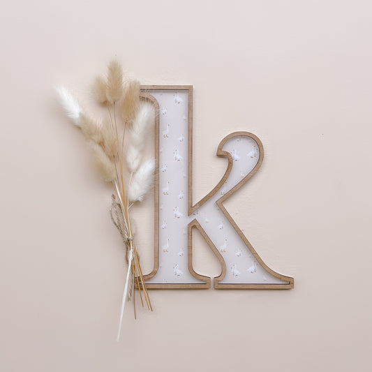 Decor Letter Sign | Multiple Customisation Options