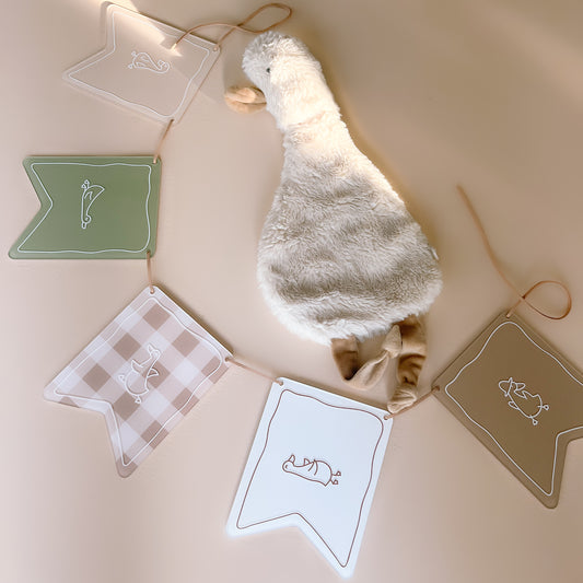ACRYLIC BUNTING - Silly Goose | Multiple Colourway Options