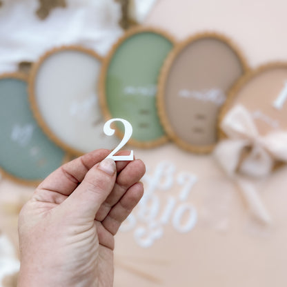 Vintage-Style Baby Milestone Set | SWAPPABLE NUMBERS | Multiple Colour & Pattern Combination Options