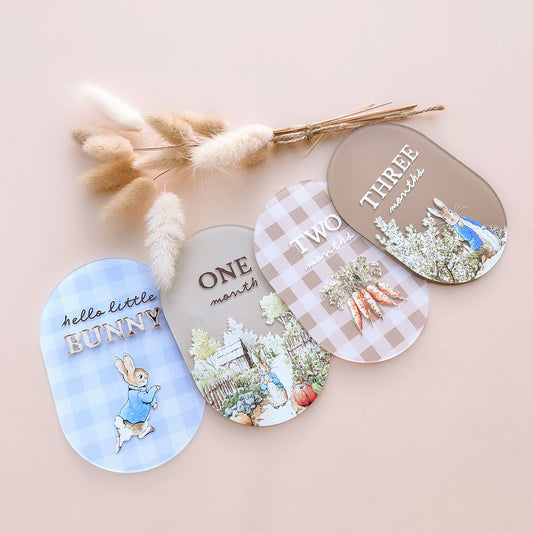 Storybook Bunny Rabbit Milestone Set | Peter & Friends | Customisable