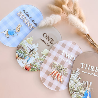 Storybook Bunny Rabbit Milestone Set | Peter & Friends | Customisable