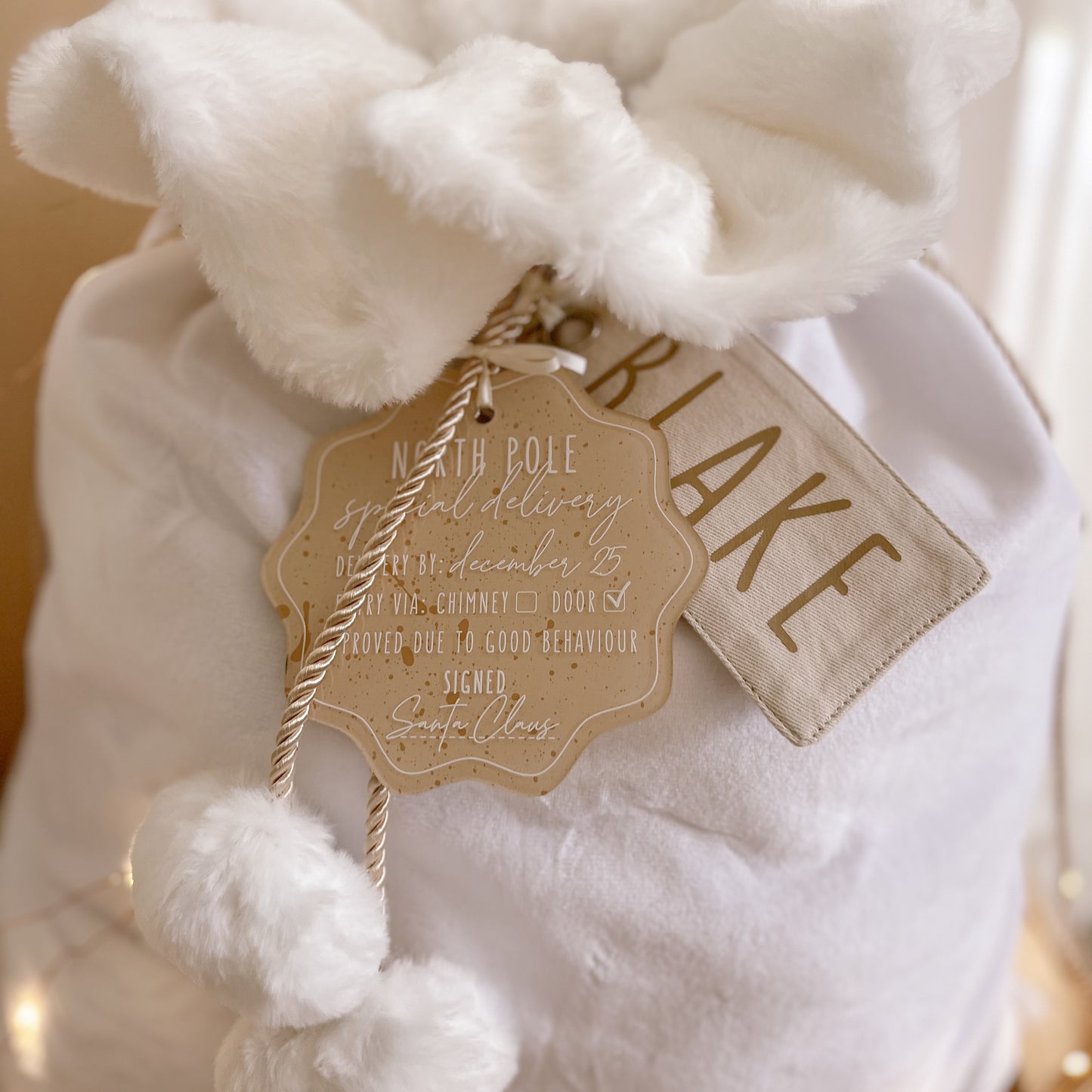 SANTA DELIVERY TAG | Multiple Colour Options