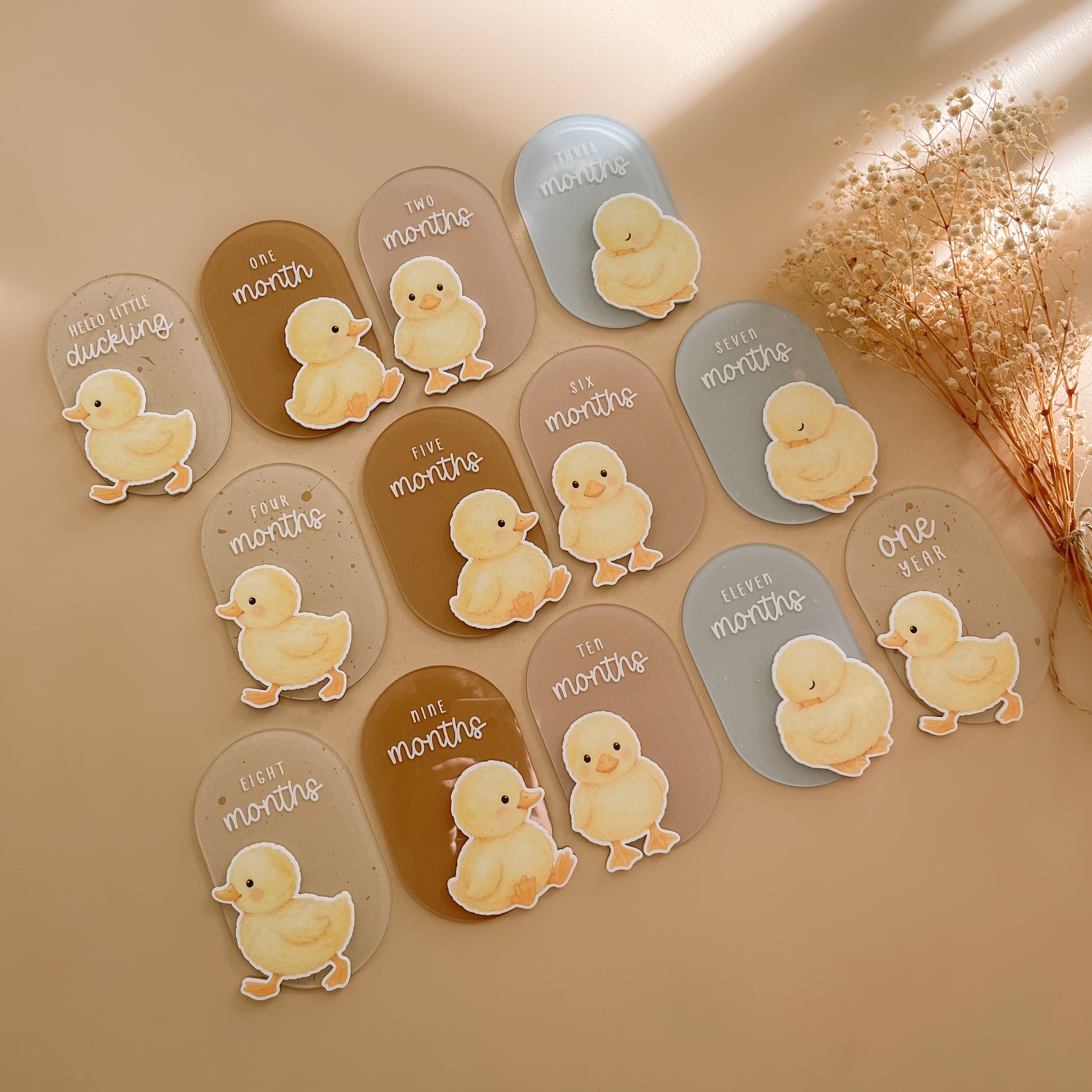 Duck themed baby milestone cards with neutral pastel colours and watercolour duckling illustrations