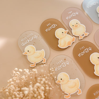 Neutral duck themed baby milestone cards with watercolour duckling illustrations