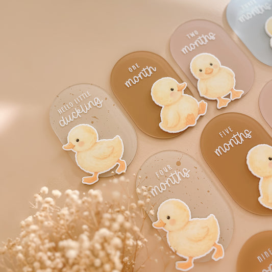 Neutral duck themed baby milestone cards with watercolour duckling illustrations