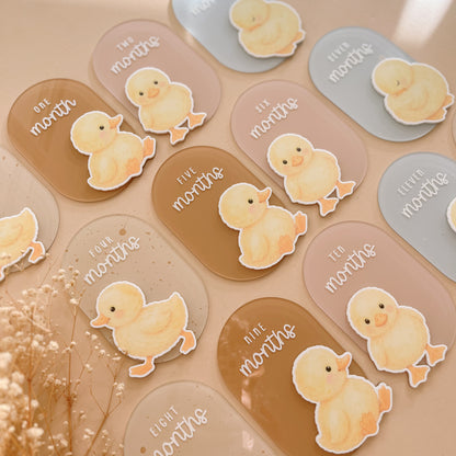 Duck themed baby milestone cards with watercolour duckling design in neutral pastel colours