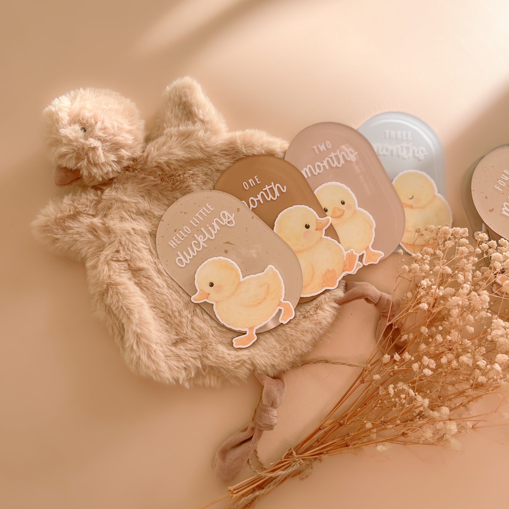 Duck themed baby milestone cards with plush duck comforter in neutral nursery tones