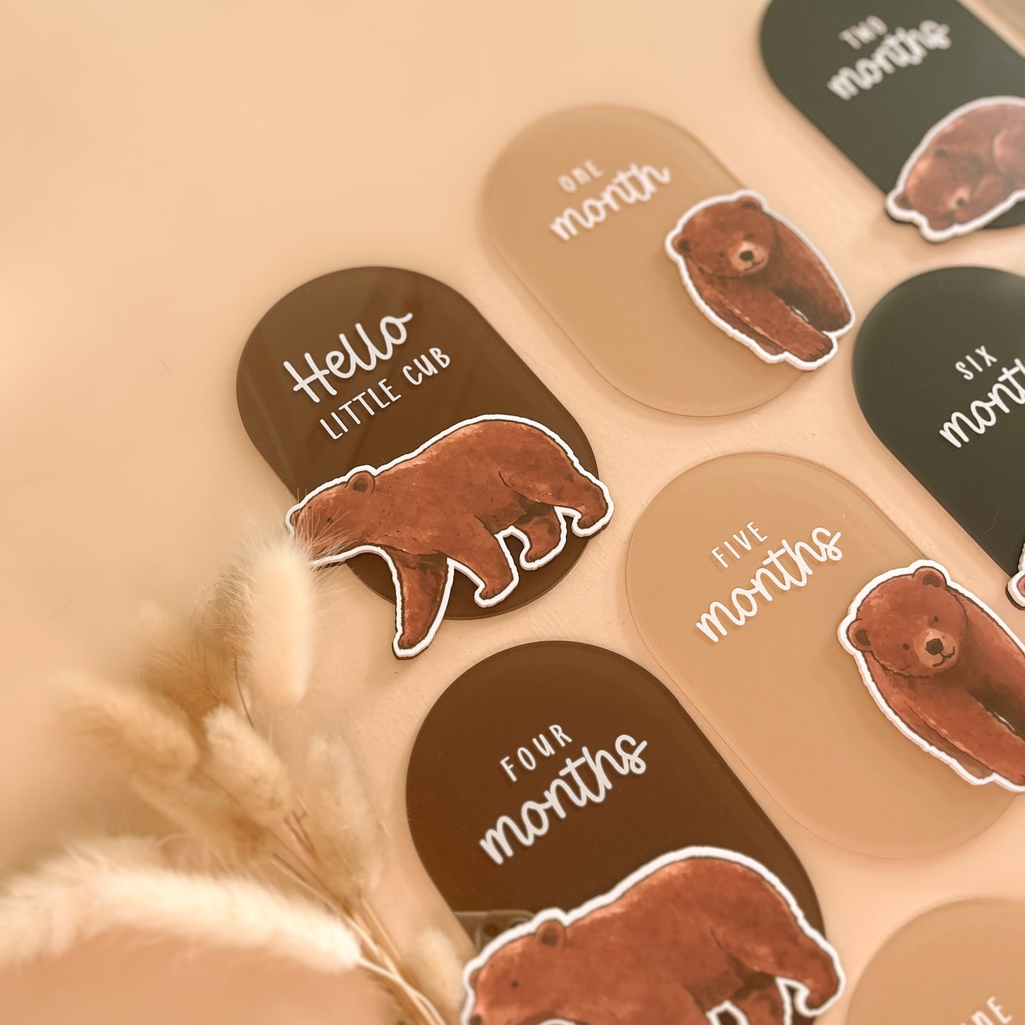 Bear themed baby milestone cards with watercolour bear illustrations in warm neutral tones