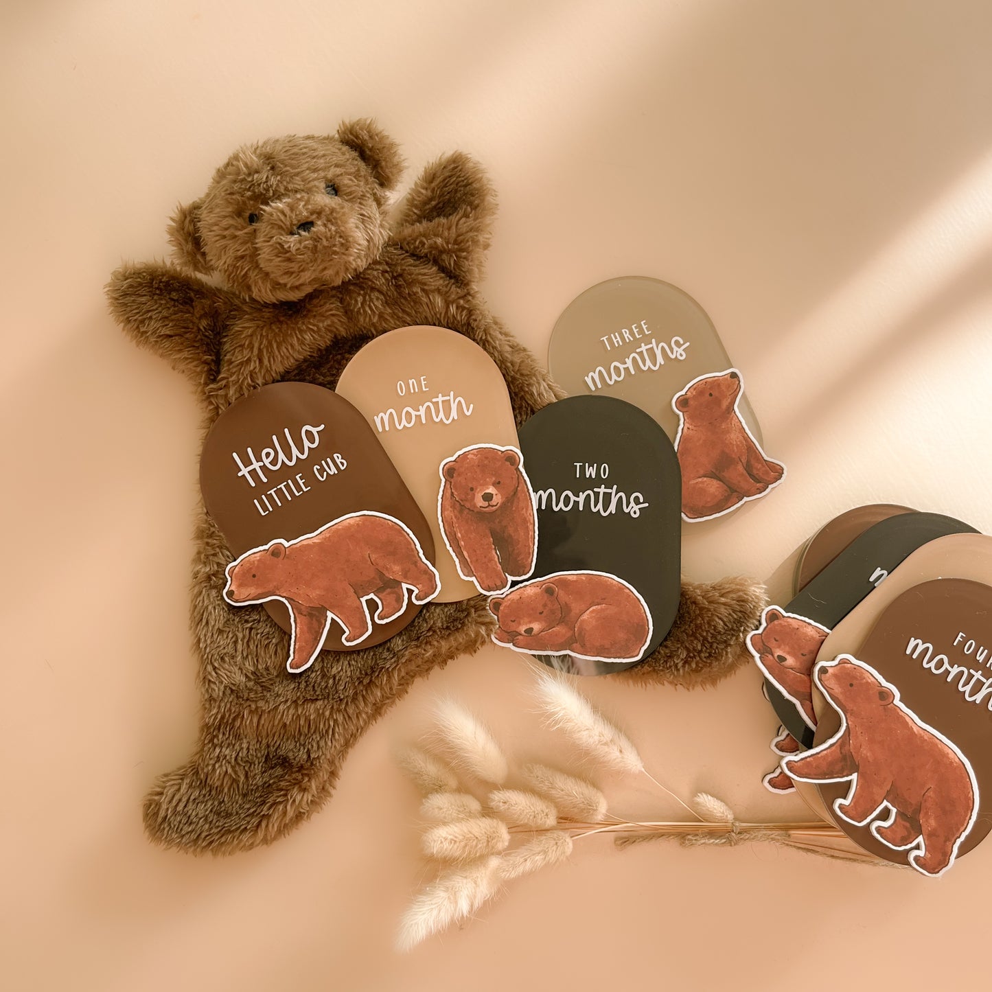 Bear themed baby milestone cards with neutral monthly discs and plush teddy comforter