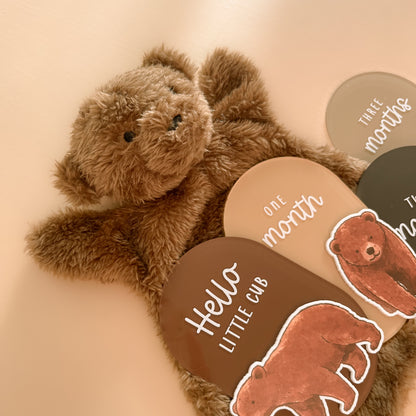 Bear themed baby milestone cards for newborn photos and monthly baby milestones