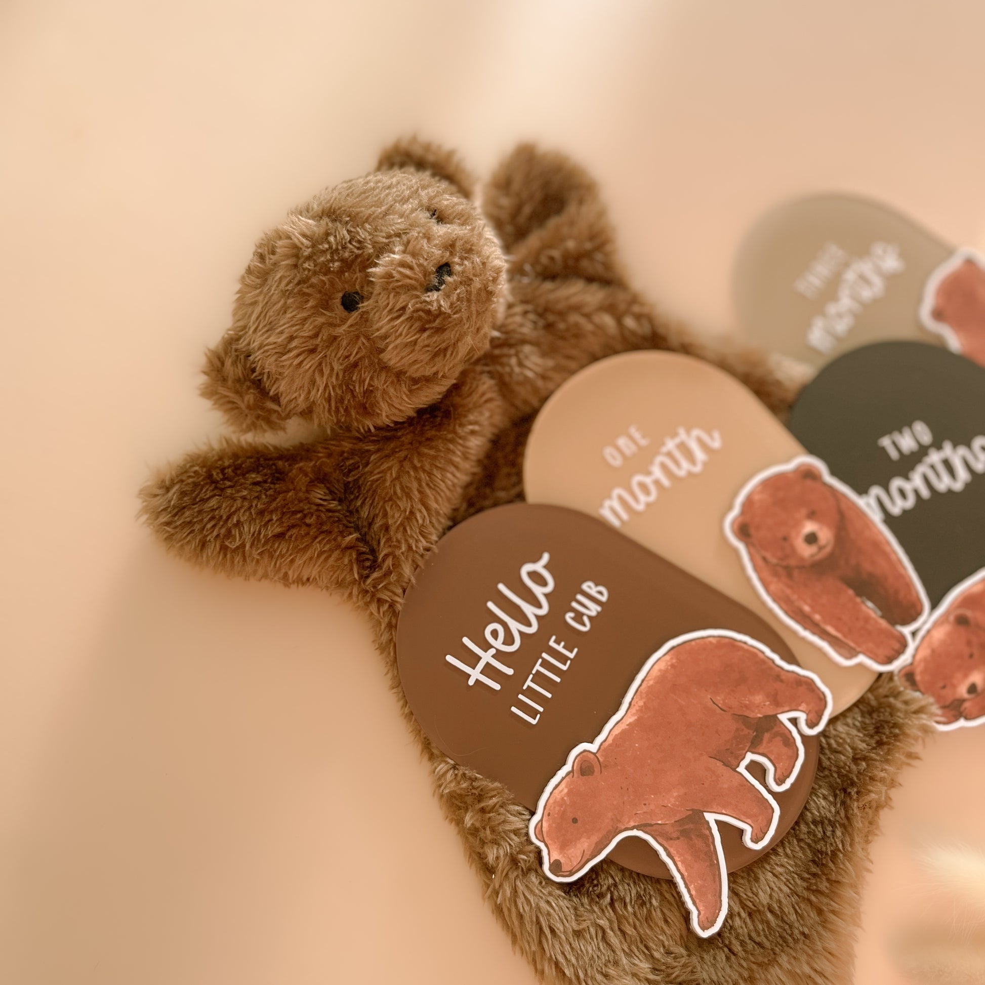 Bear themed baby milestone cards with teddy styling for newborn milestone photos