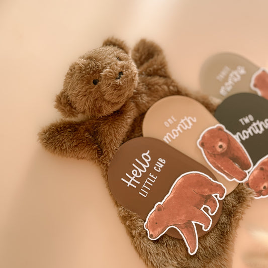 Bear themed baby milestone cards with teddy styling for newborn milestone photos
