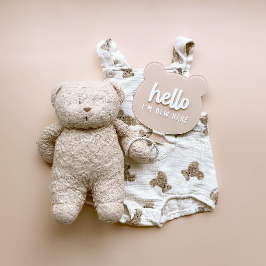 BEAR Balloon Baby Birth Announcement Plaque | Multiple Colour + Pattern Options