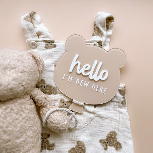 BEAR Balloon Baby Birth Announcement Plaque | Multiple Colour + Pattern Options