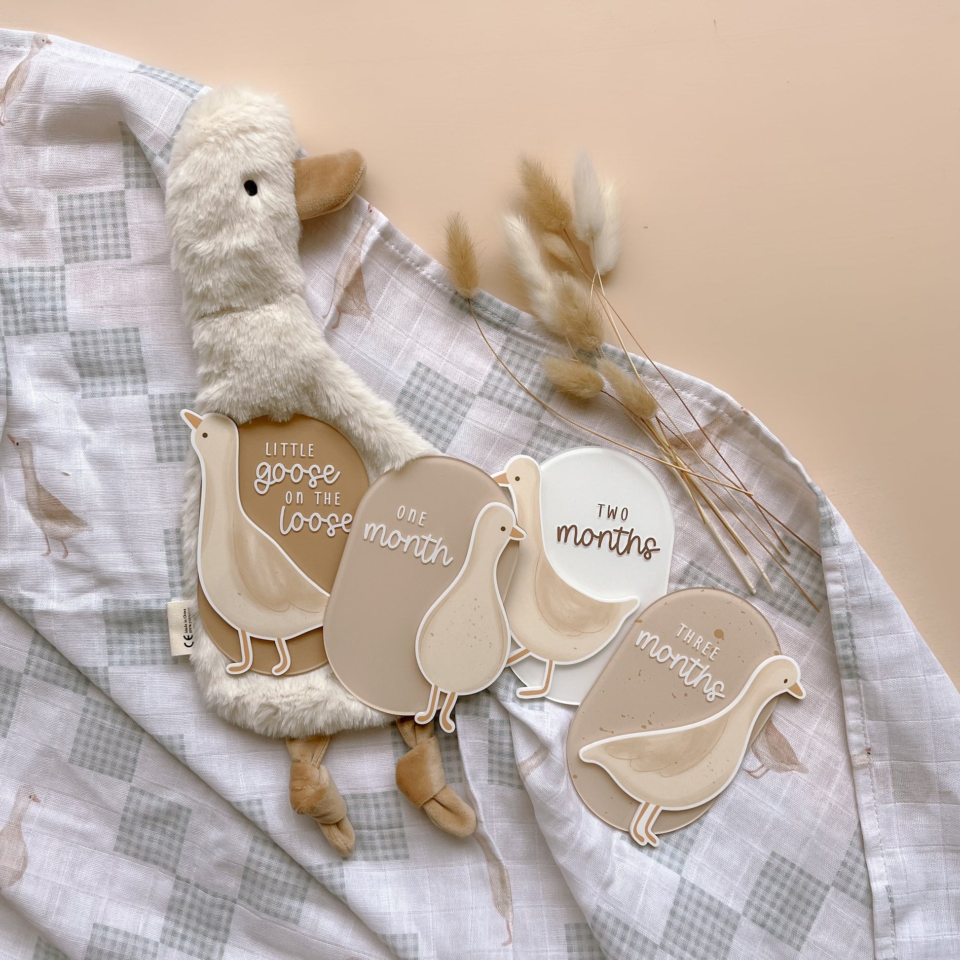 Goose themed baby milestone cards with neutral monthly milestone discs for newborn photos