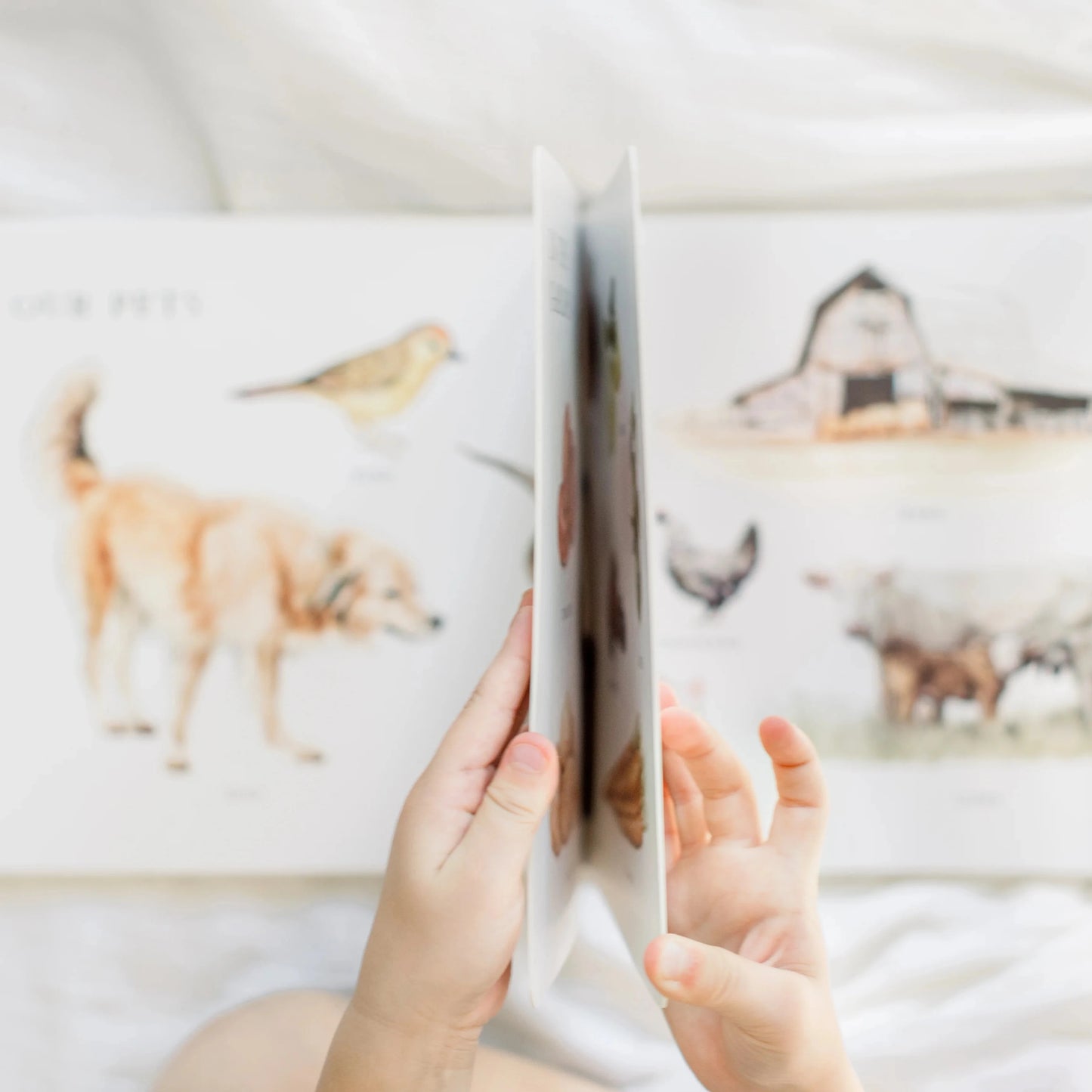 Our Big Book of First Words | Tabitha Paige