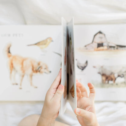 Our Big Book of First Words | Tabitha Paige