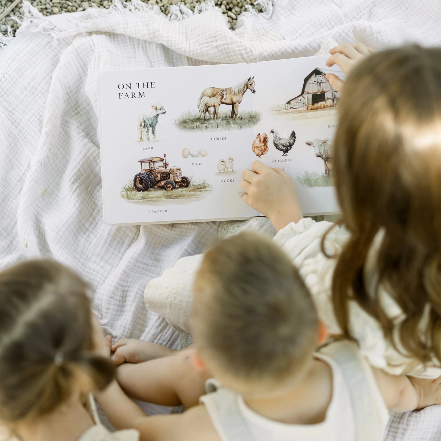Our Big Book of First Words | Tabitha Paige