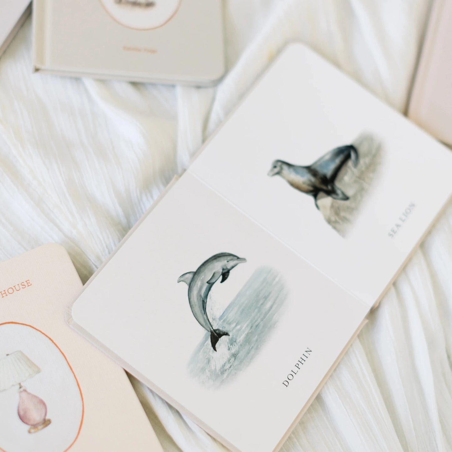 Notebooks with dolphin illustrations on a soft white background
