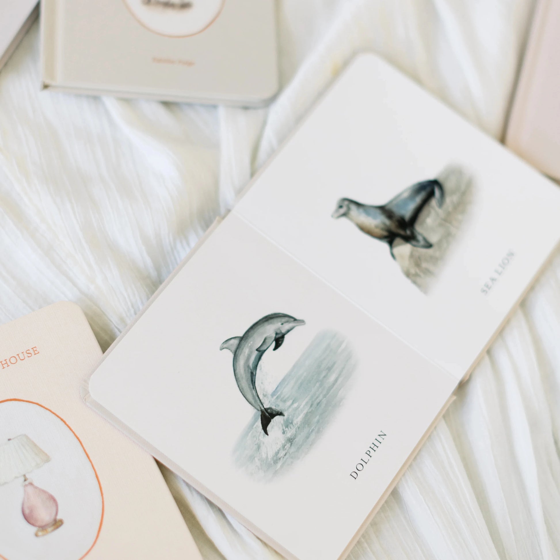 Notebooks with dolphin illustrations on a soft white background