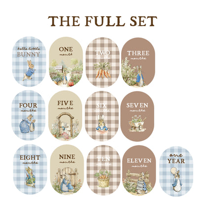 Storybook Bunny Rabbit Milestone Set | Peter & Friends | Customisable