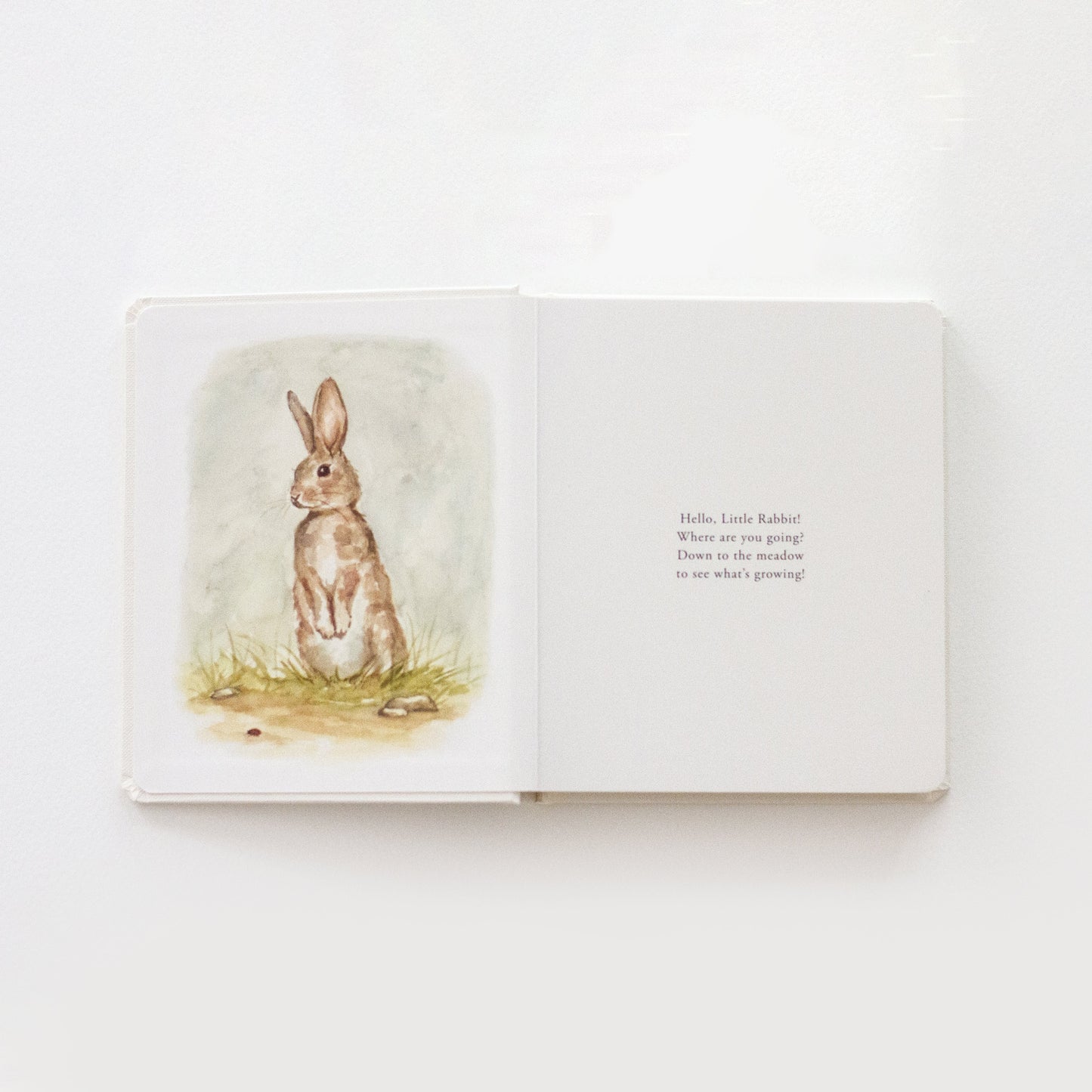 Our Little Adventures Board Book Set | Tabitha Paige
