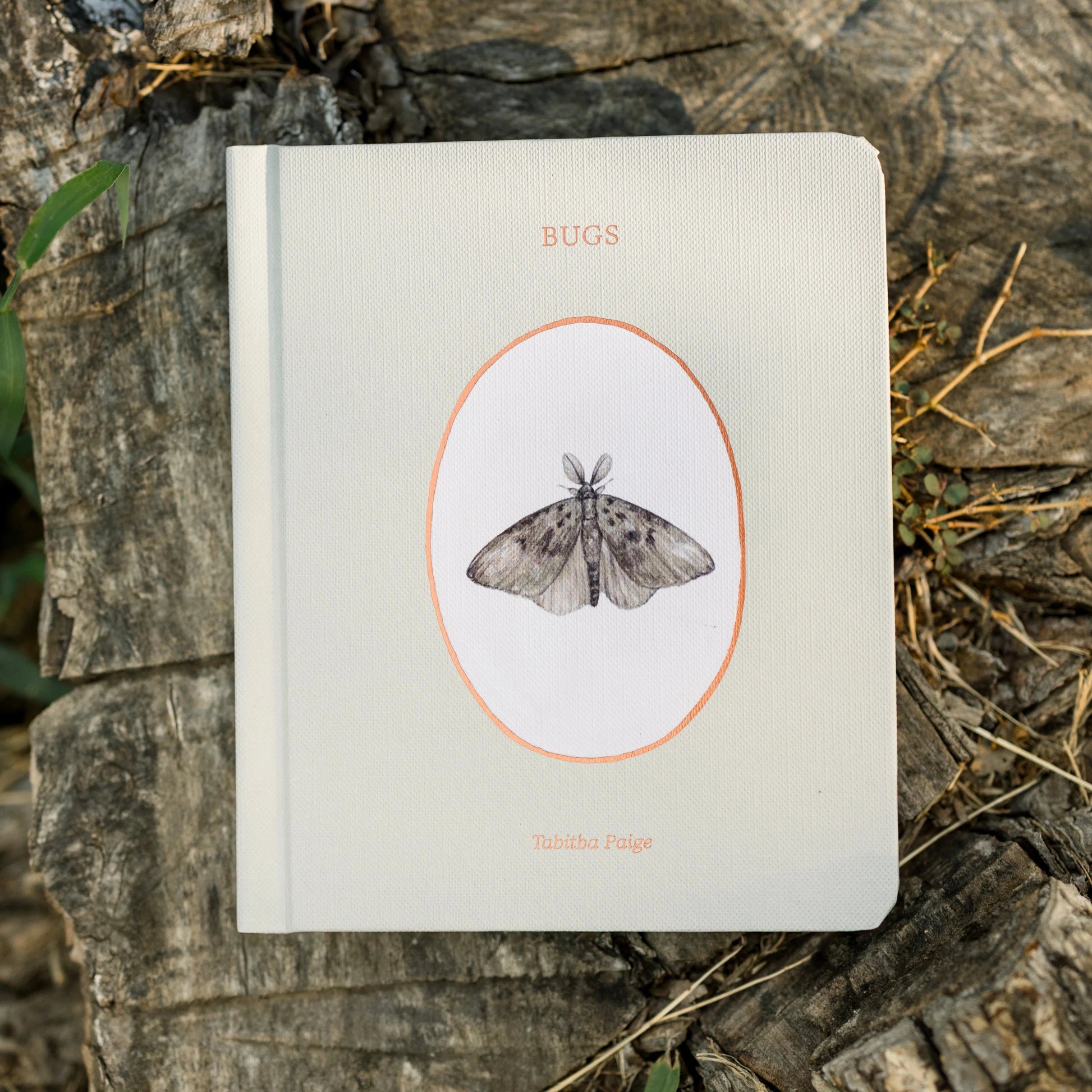 Book titled 'BUGS' with a moth illustration on a textured stone surface