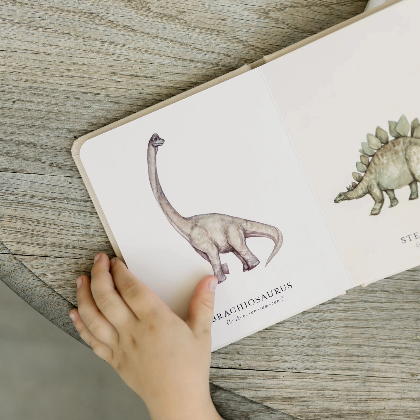Child's hand holding a book with dinosaur illustrations on a wooden surface