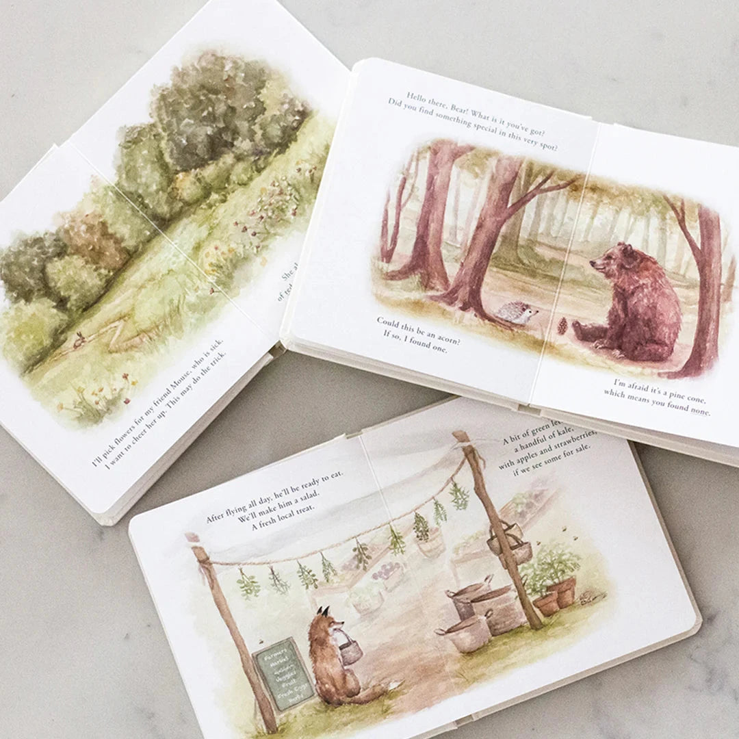 Our Little Adventures Board Book Set | Tabitha Paige