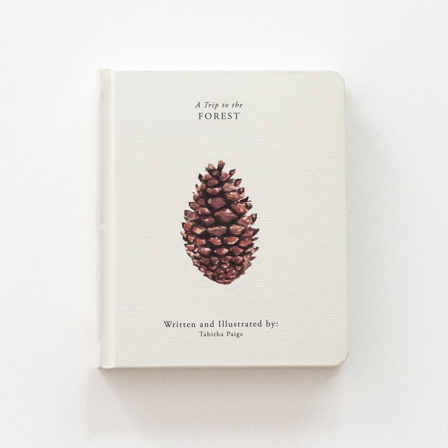 Our Little Adventures Board Book Set | Tabitha Paige