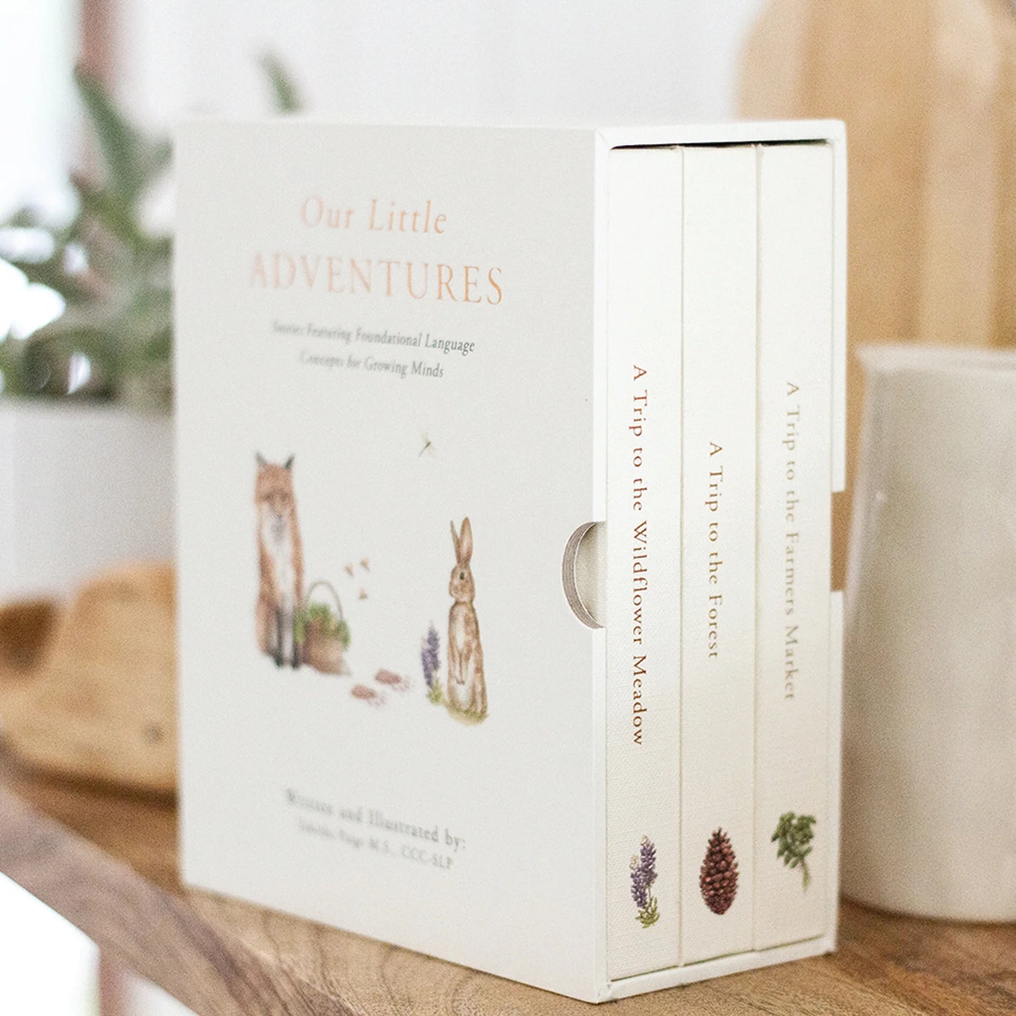 Our Little Adventures Board Book Set | Tabitha Paige