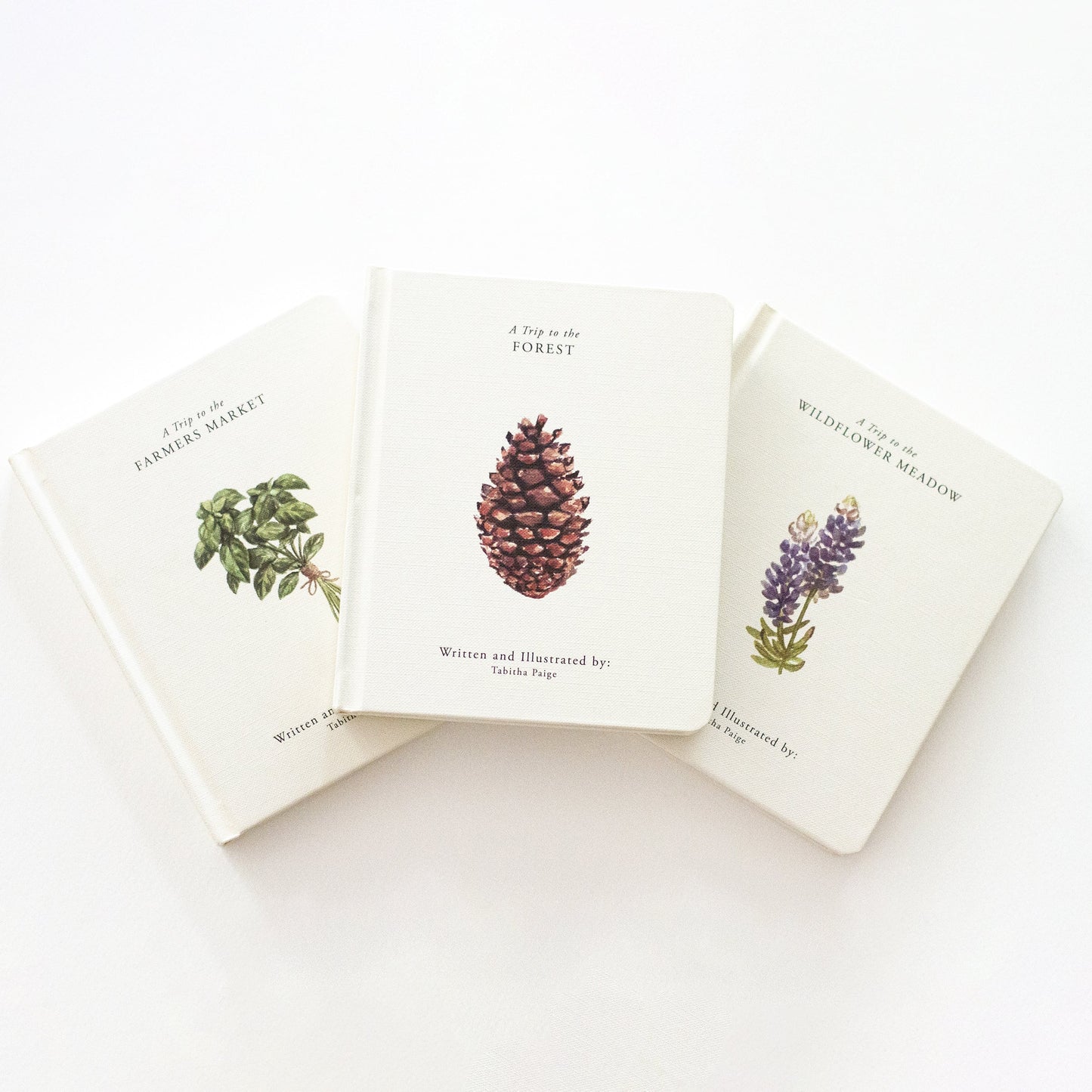 Our Little Adventures Board Book Set | Tabitha Paige