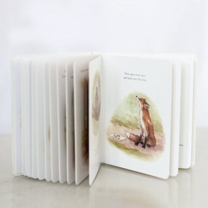 Our Little Adventures Board Book Set | Tabitha Paige